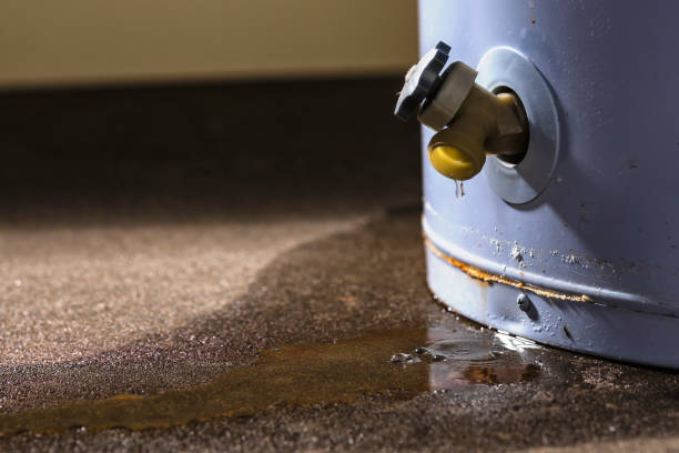 Best Mold removal after water damage  in Kiel, WI