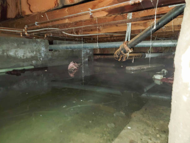 Best 24-hour water damage restoration  in Kiel, WI