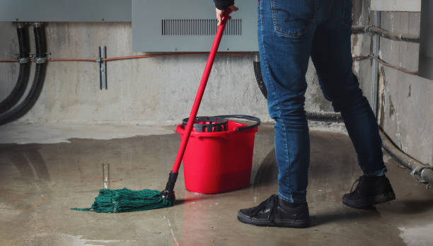 Best Sewage cleanup and water damage restoration  in Kiel, WI