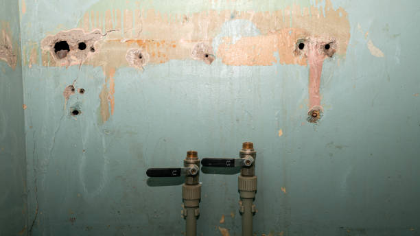 Best Carpet water damage restoration  in Kiel, WI
