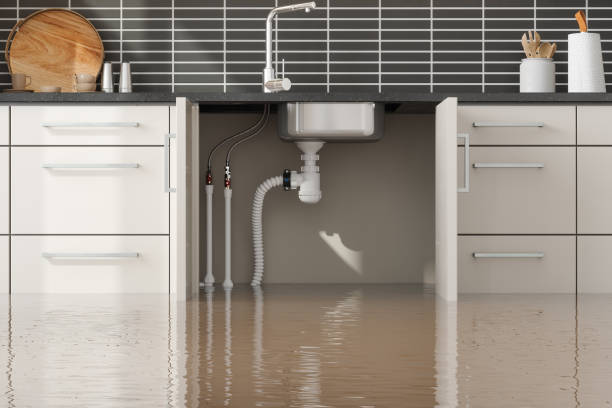 Best Professional water damage repair  in Kiel, WI