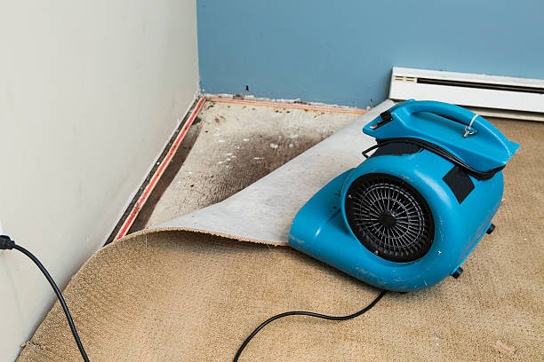Best Water damage repair service  in Kiel, WI